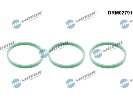 Gasket, intake manifold