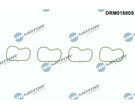 Gasket, intake manifold
