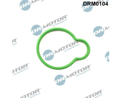 Gasket, intake manifold