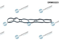 Gasket, intake manifold
