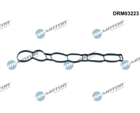 Gasket, intake manifold