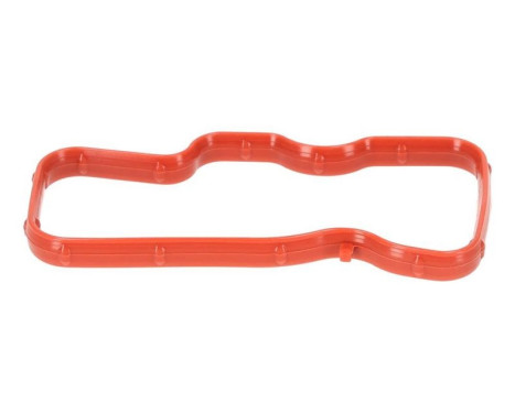 Gasket, intake manifold