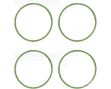 Gasket set, intake manifold 11-11071-01 Viktor Reinz
