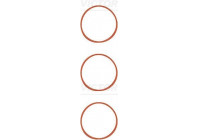 Gasket Set, intake manifold 11-11551-01 Viktor Reinz