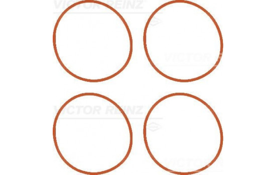 Gasket Set, intake manifold 11-36956-01 Viktor Reinz