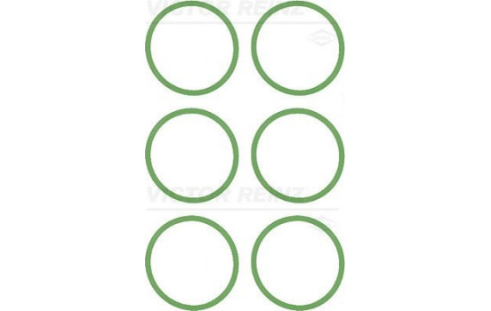 Gasket Set, intake manifold 11-37599-01 Viktor Reinz
