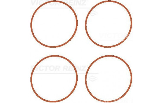 Gasket Set, intake manifold 11-37632-01 Viktor Reinz