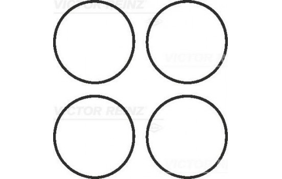 Gasket Set, intake manifold 11-41336-01 Viktor Reinz