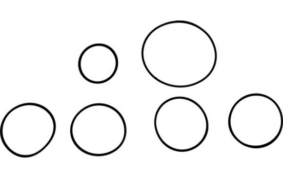 Gasket Set, intake manifold 11-42136-01 Viktor Reinz