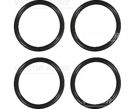 Gasket set, intake manifold 11-73388-01 Viktor Reinz