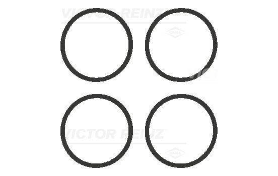 Gasket Set, intake manifold 11-77542-01 Viktor Reinz
