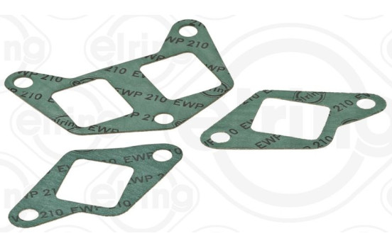Gasket Set, intake manifold 734.370 Elring