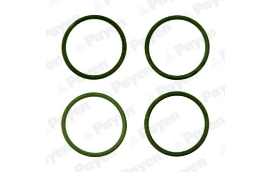 Gasket Set, intake manifold HA5028 Payen