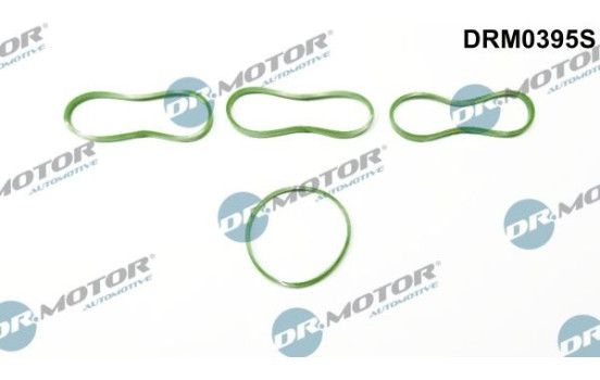 Gasket set, intake manifold