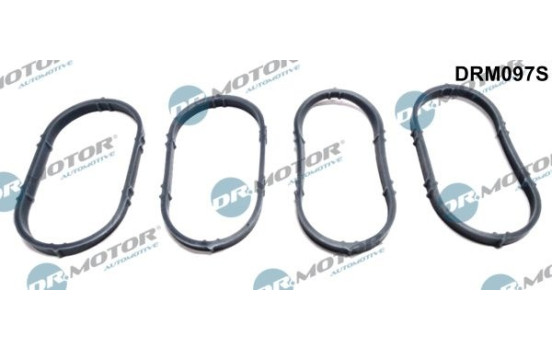 Gasket set, intake manifold