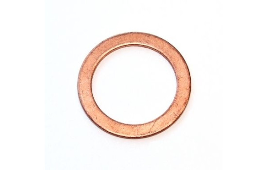 sealing ring 119.407 Elring