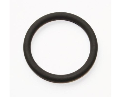 sealing ring 199.310 Elring