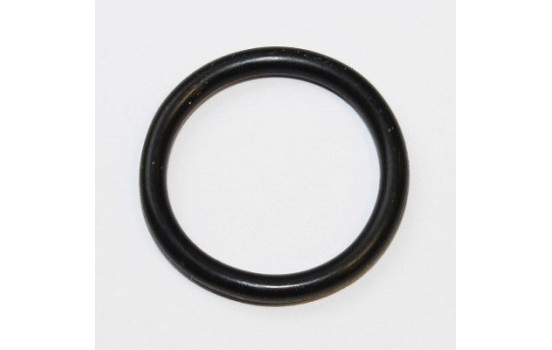 sealing ring 255.550 Elring