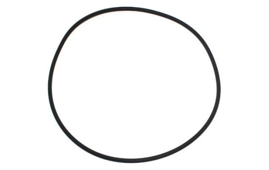 sealing ring 743.401 Elring