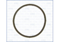 Gasket, coolant coupling