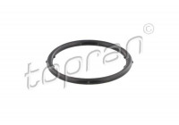 Gasket, coolant flange