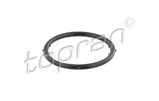 Gasket, coolant flange