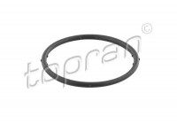 Gasket, coolant flange