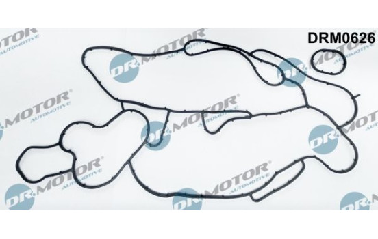 Gasket, oil cooler