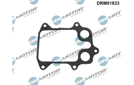 Gasket, oil cooler