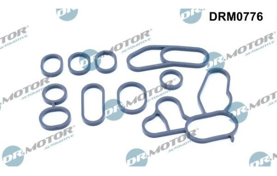 Gasket, oil cooler