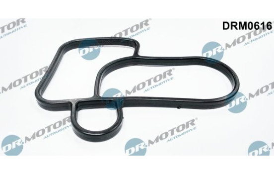 Gasket, oil cooler