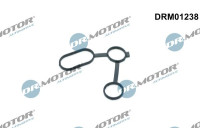 Gasket, oil cooler