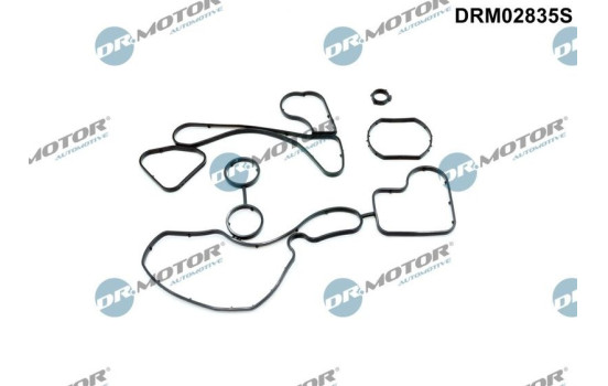 Gasket, oil cooler