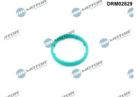 Gasket, oil cooler