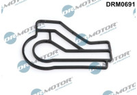 Gasket, oil cooler