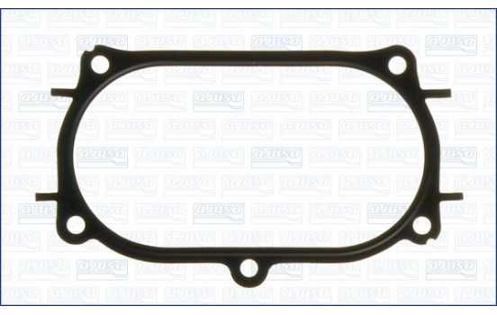 Gasket/ Seal