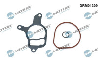 Gasket set, vacuum pump