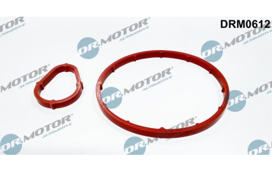 Gasket set, vacuum pump