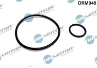 Gasket set, vacuum pump