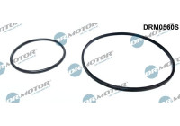 Gasket set, vacuum pump