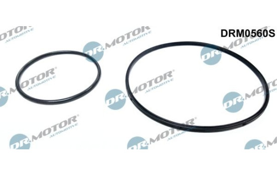 Gasket set, vacuum pump