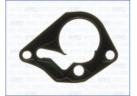 Gasket, vacuum pump