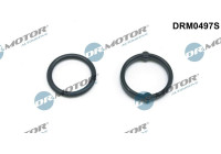 Seal kit, oil cooler