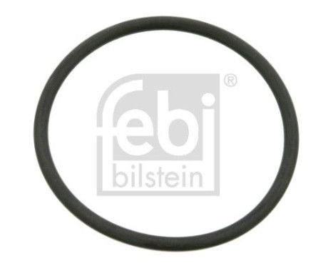 Sealing ring 04319 FEBI