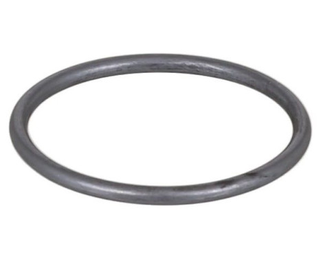 Sealing ring 339.480 Elring