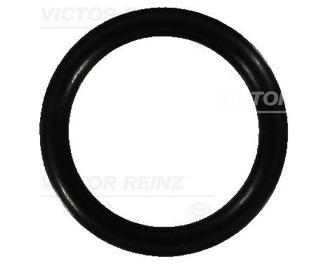 Sealing ring 40-76059-00 Viktor Reinz