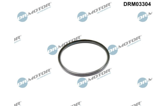 Sealing ring, charge air hose