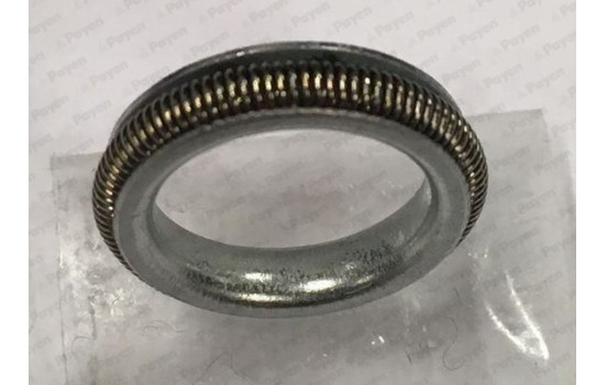 Sealing ring KK5742 Payen