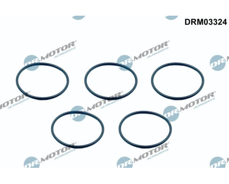 Sealing ring