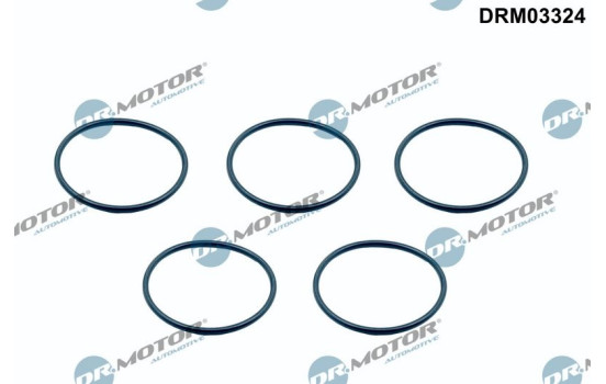 Sealing ring